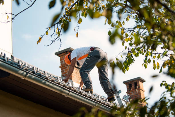 Best Flat Roof Repair Services  in Forrest, IL