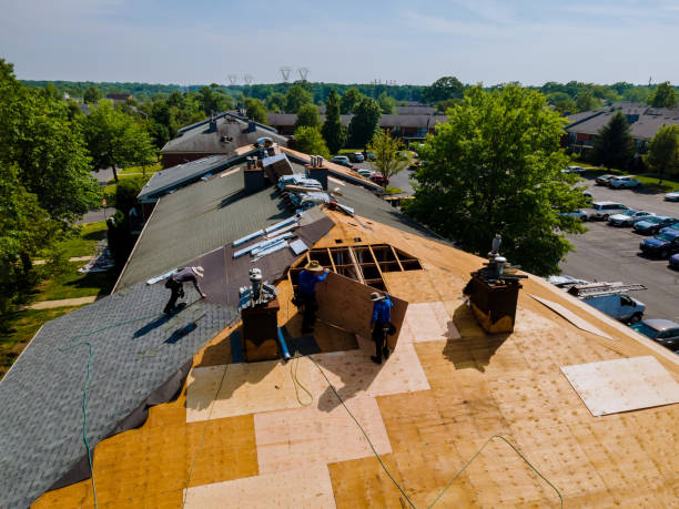 Gutter Installation and Roofing in Forrest, IL