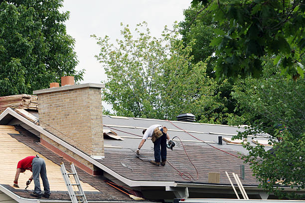 Best Roof Restoration Services  in Forrest, IL