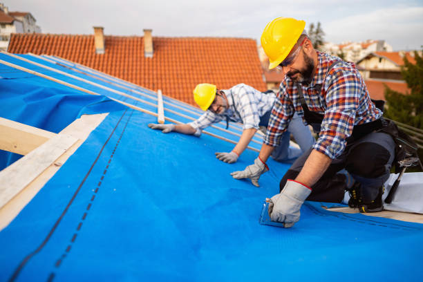 Professional Roofing Contractor in Forrest, IL