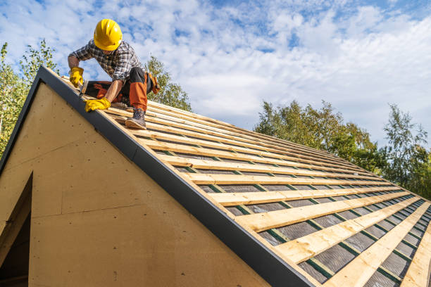 Best Best Roofing Contractors  in Forrest, IL