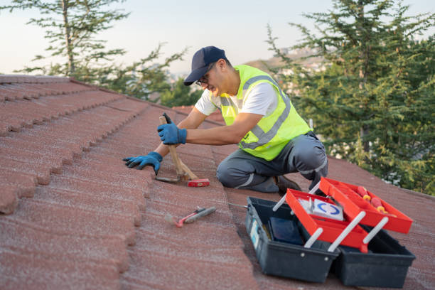 Best Flat Roof Repair Services  in Forrest, IL