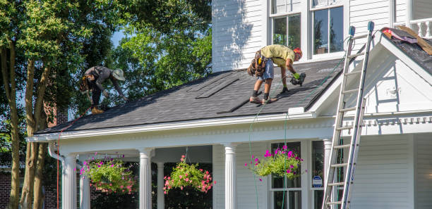 Best Roof Maintenance Services  in Forrest, IL