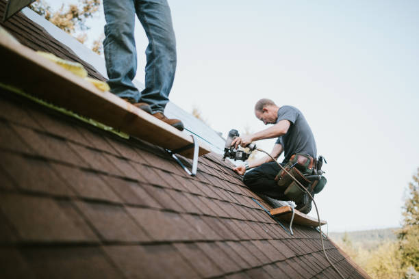 Best New Roof Installation  in Forrest, IL