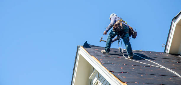 Best Roof Replacement Cost  in Forrest, IL